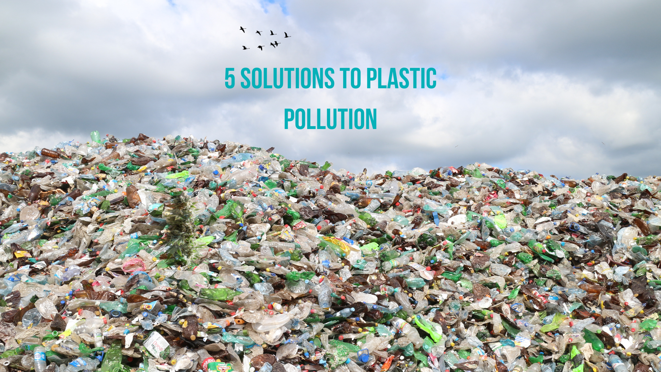 Banner displaying a text with 5 solutions to plastic pollution written above a pile a plastic waste.